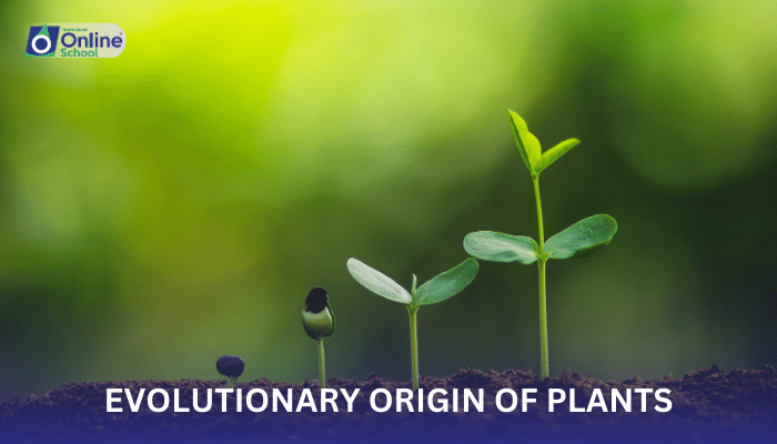 Lesson 01: Evolutionary Origin of Plants